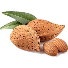 بادام شاهرودی مرغوب خرید به صرفه